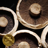 Portobello orgánico (1 pza)